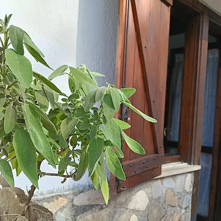 Montanara